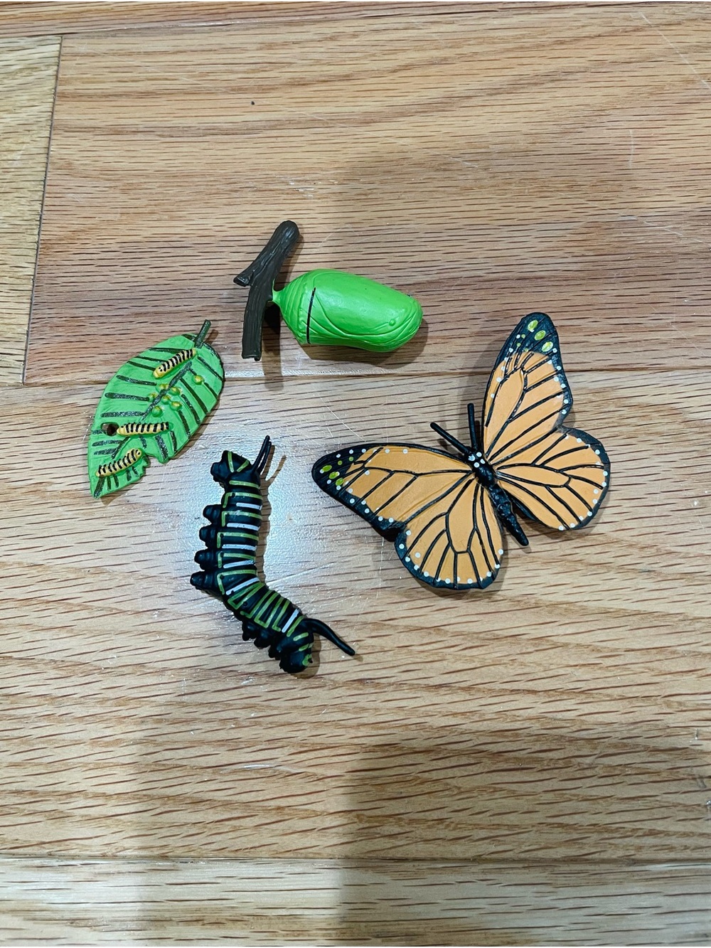 Monarch Butterfly Life Cycle Small Figurines - Orange & Green